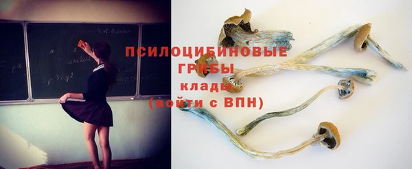 шишки Алексеевка