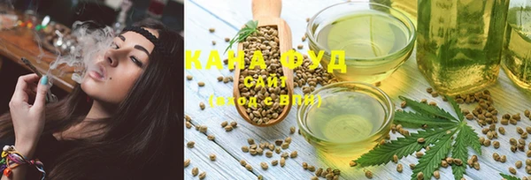 дмт Абаза