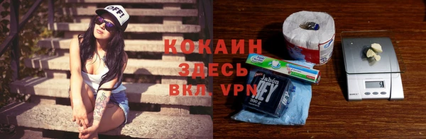 дмт Абаза