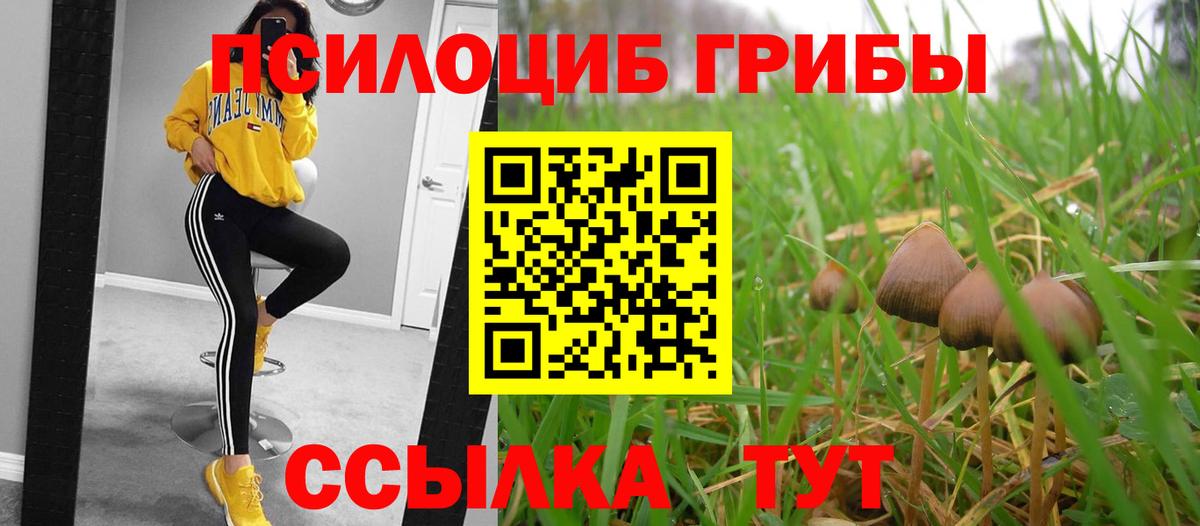 Псилоцибиновые грибы Magic Shrooms Красноуфимск
